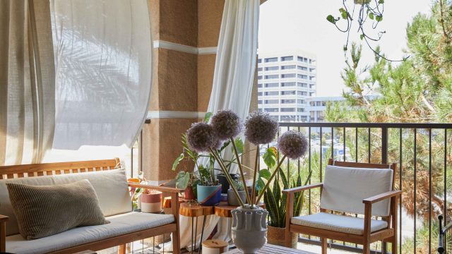 Discover the Affordable Retractable Sun Shade at Costco!