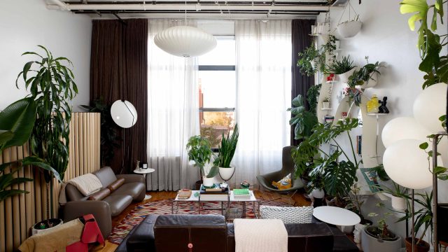 Why the DIY Home Decor Trend is Booming Right Now