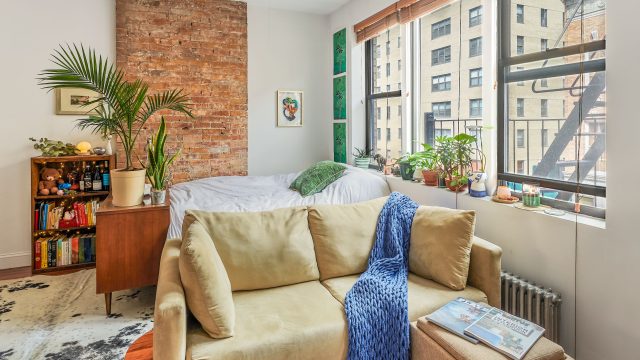 Transform Your Living Space: Stylish Pet-Friendly Designs for Every Home