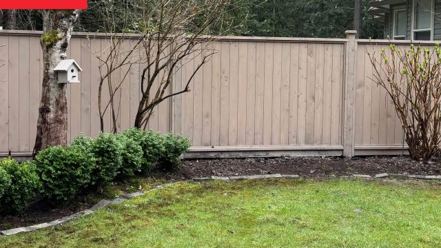 Transforming Your Backyard: From Ordinary to Extraordinary