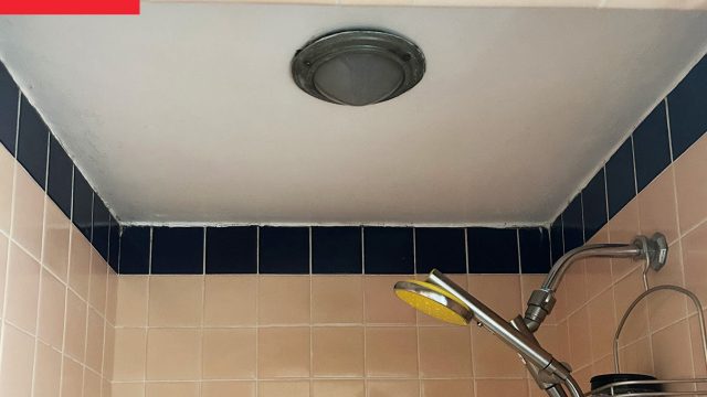 Transform Your Shower Ceiling: A Creative Inspiration from NYC