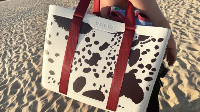 Transform Your Beach Experience with the Ultimate Collapsible Tote