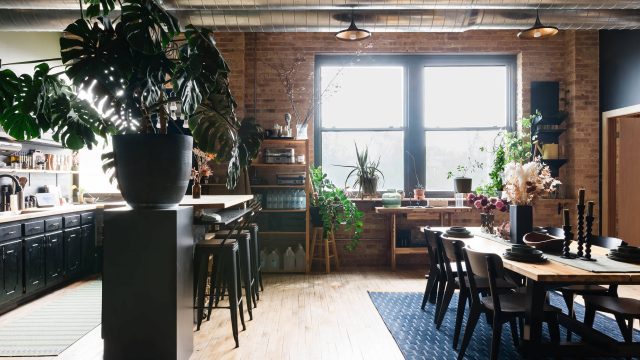 Transform Your Loft with Unique Plant Dividers: A Modern Solution