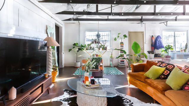 The Rise of Animal-Inspired Decor: Adding Charm to Adult Spaces