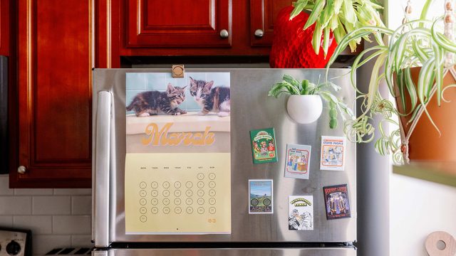 Innovative Storage Solutions: Transforming Your Freezer with Dollar Tree Finds