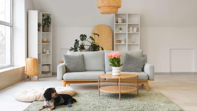 Unmissable Early Labor Day Discounts You Can't Ignore