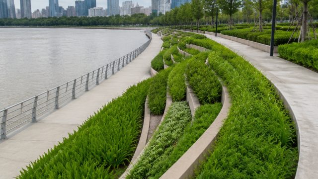 Combining Concrete and Nature: Vietnam's Blueprint Against Flooding