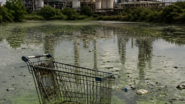 Reflections on Green: A Symbol of Enviro