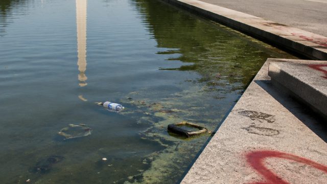 Reflecting Pool Under Fire: Vandalism and Wildlife Concerns Intensify