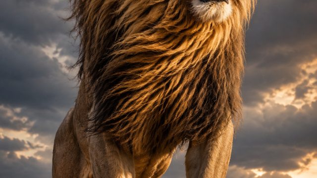 Unleashing the Power of Cats: A Showcase of Fierce Felines