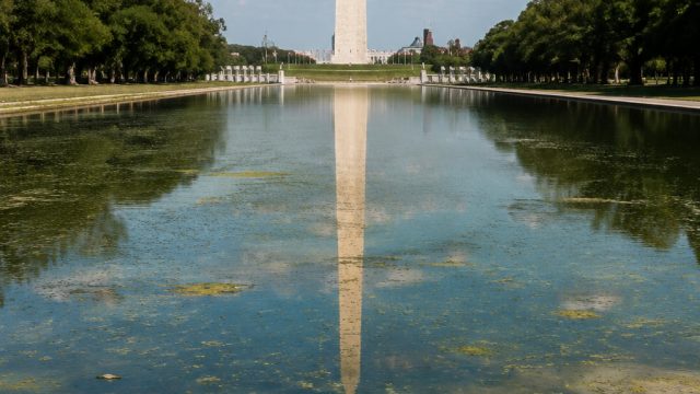 Examining Recent Claims About the Reflec