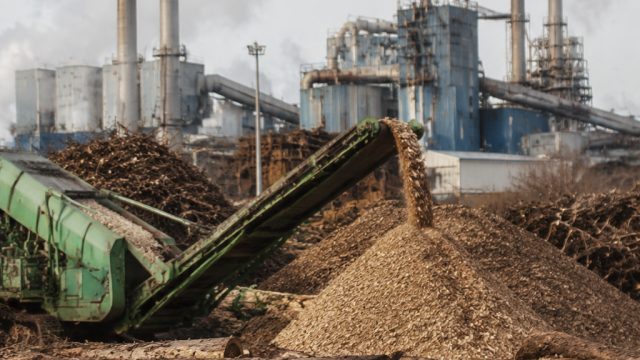 Understanding the Environmental Costs of
